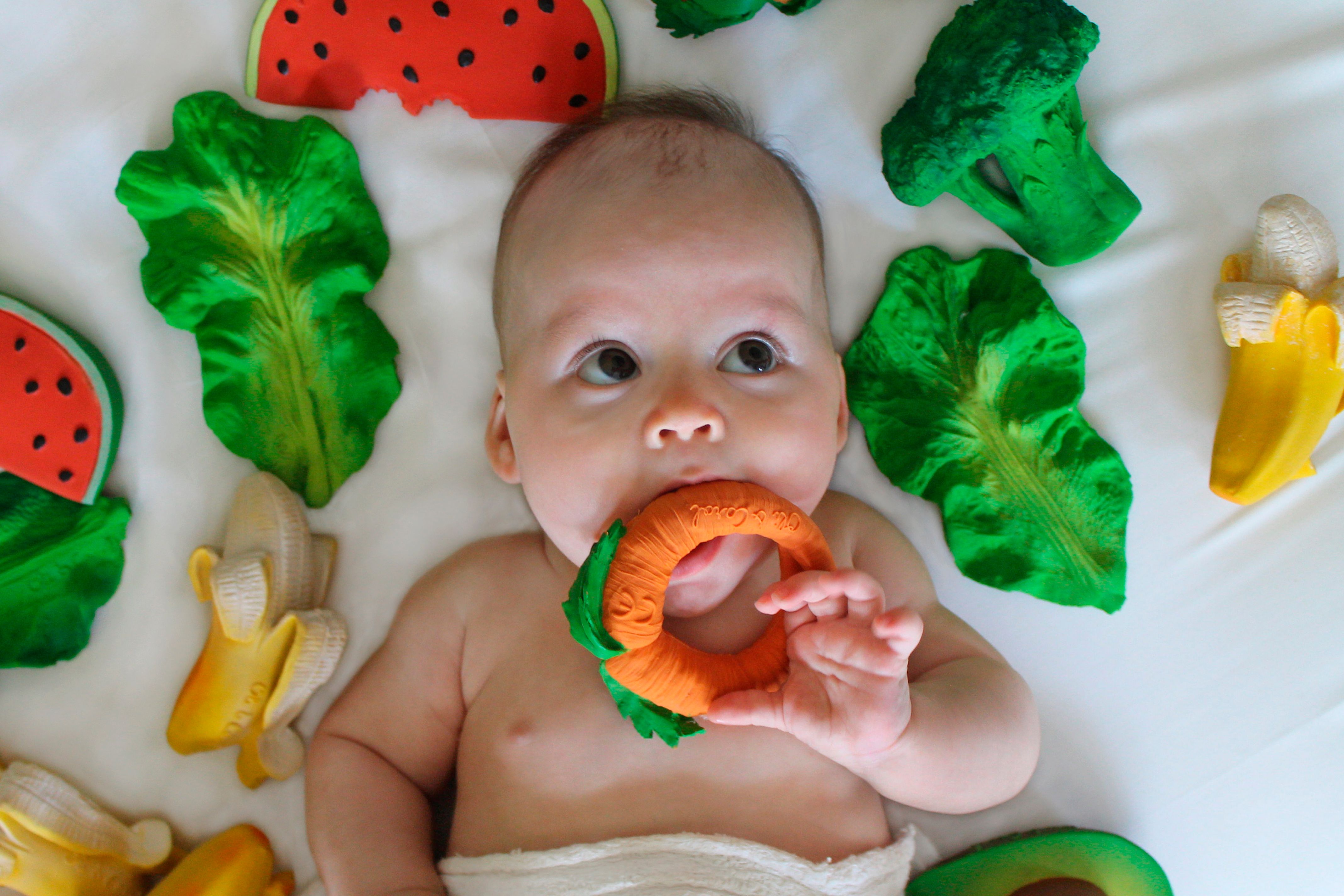 Oli&amp;Carol CATHY THE CARROT