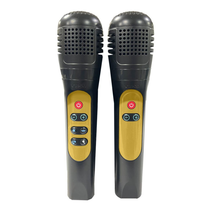 KARAOKE LIGHT PARTY DUO