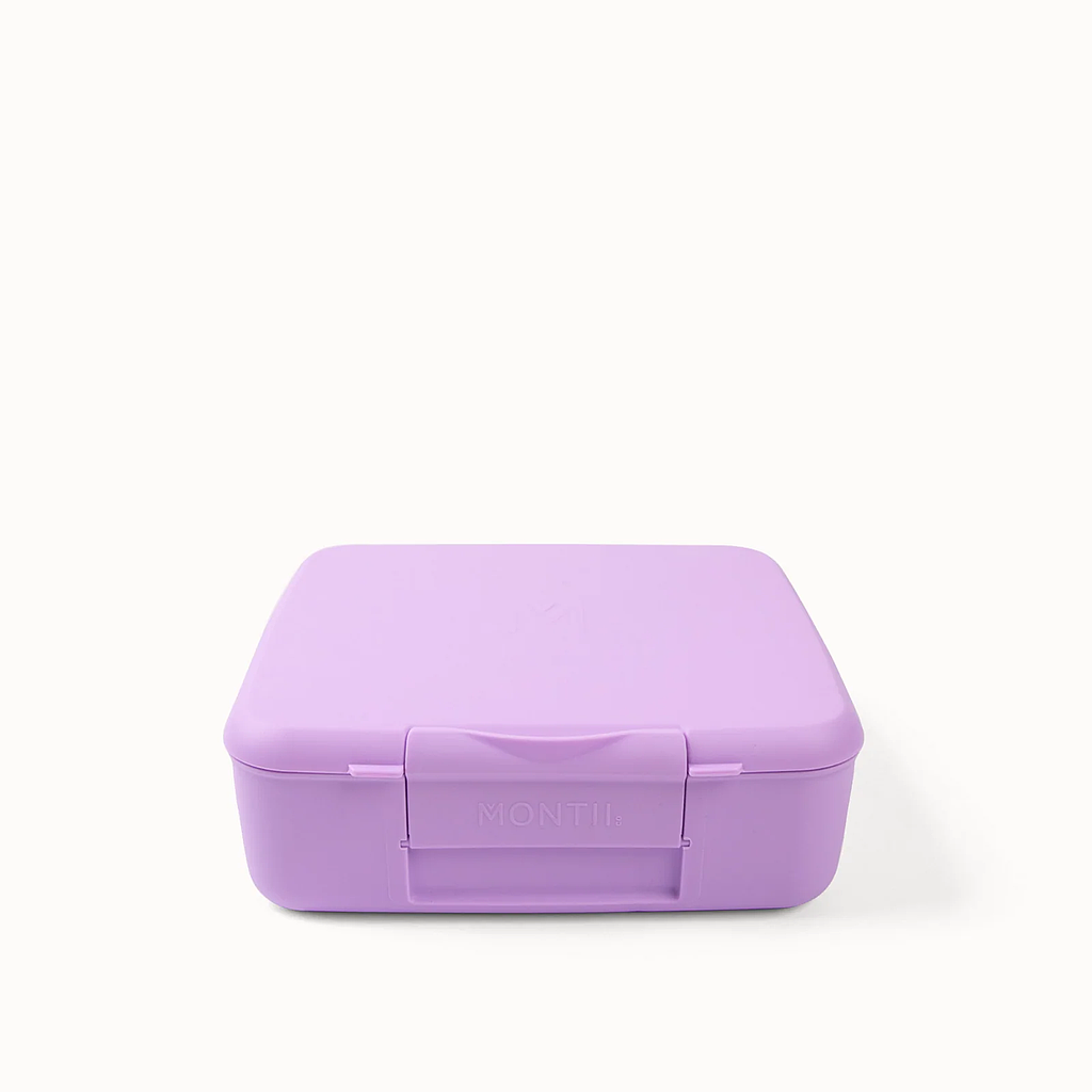 LUNCH BOX FEAST LILAC