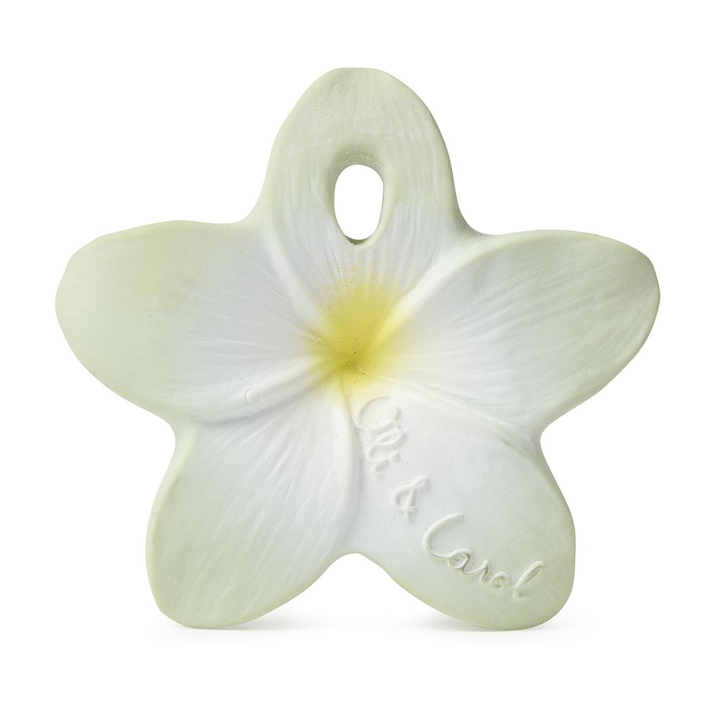 Oli&amp;Carol BALI THE FLOWER