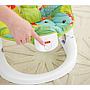 FISHER PRICE HAMACA PLEGABLE CMR20