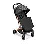 SILLA DE PASEO COMPASS 2.0T194