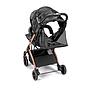 SILLA DE PASEO COMPASS 2.0T194