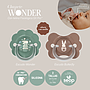 S CH FIS S 0/6M BUTTERFLY WONDER 26 I3