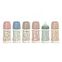 BIBERON POLIAMIDA WONDERLAND 2026 +3M 270ML SURTIDO