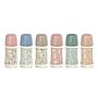 BIBERON POLIAMIDA WONDERLAND 2026 +3M 270ML SURTIDO